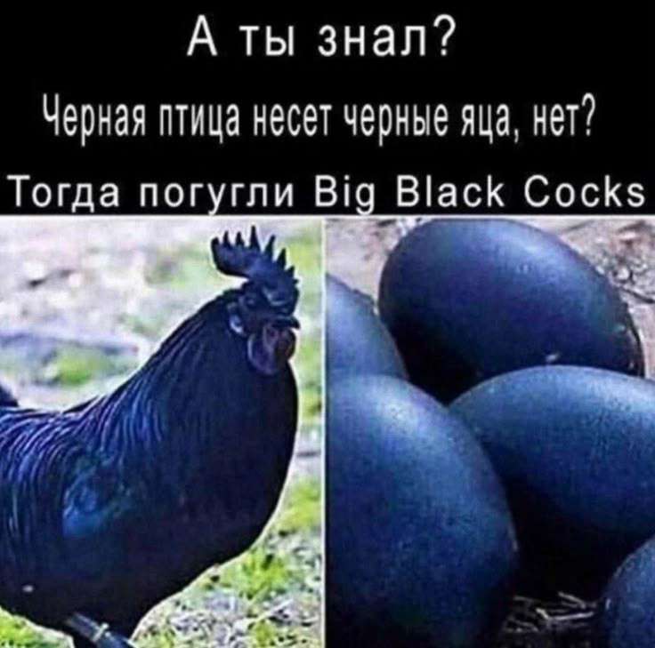 38842cd8222beadacc0e6ac8089f2660.jpg